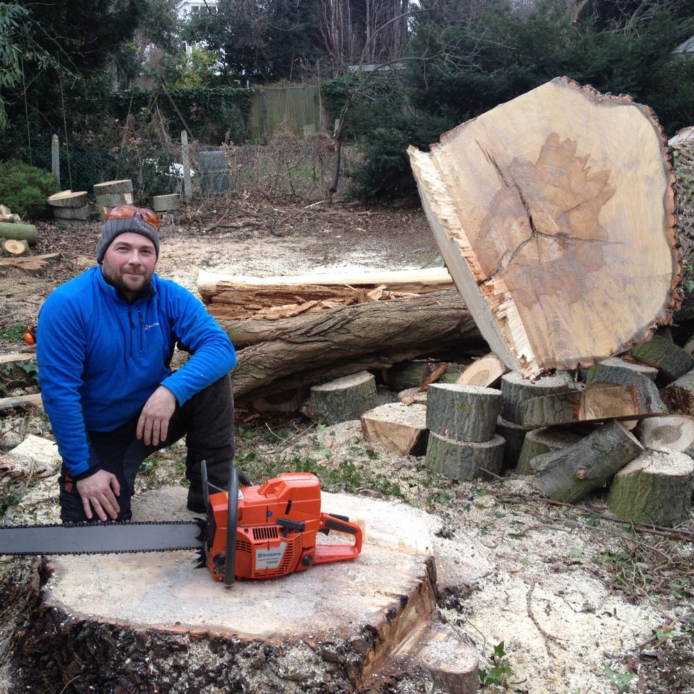 Tree Surgeons Orpington: Professional Services You Need
