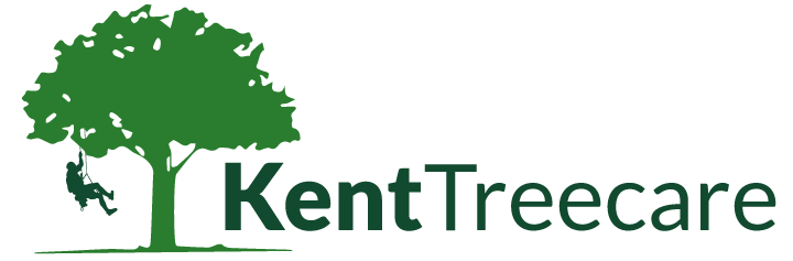 Kent Tree Care