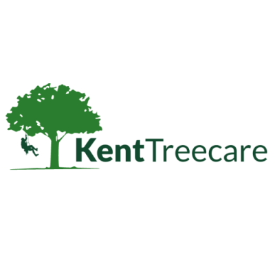 Kent Treecare Limited – Professional Tree Surgeons in Orpington, Petts Wood, Chislehurst, Bickley, Bromley, Shortlands, Beckenham, West Wickham, Hayes, Sidcup & Bexley Kent Treecare Limited provides expert tree surgery, tree removal, tree pruning, hedge cutting, and stump grinding across Orpington, Petts Wood, Chislehurst, Bickley, Bromley, Shortlands, Beckenham, West Wickham, Hayes, Sidcup, and Bexley