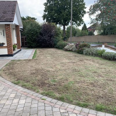 Lawn maintenance Orpington before grass renovation showing worn and patchy lawn