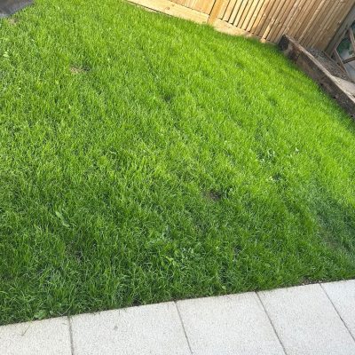 d04ecb14-720b-404b-9689-a7af0c07e6c6